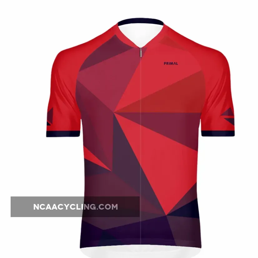 Primal Wear Triangular Men's Omni Full Zip Race Fit Cycling Jersey, Primal Cycling Jersey Review TRI1J80M-2