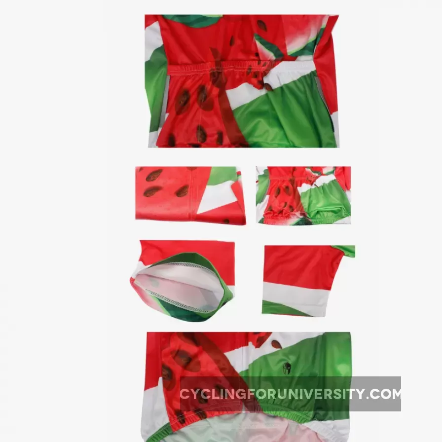Summer Watermelon Men's Bicylist Jersey T-shirt NO.741