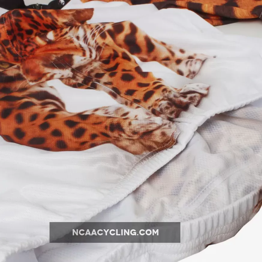 Ilpaladino Approaching Leopards Animal Men's Breathable Quick Dry Short-Sleeve Cycling Jersey Bicycling Shirts Summer Sportswear NO.566