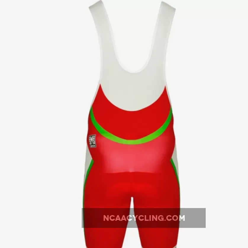 GREENEDGE CYCLING Japanese champ Meister 2011-12 Bib Shorts