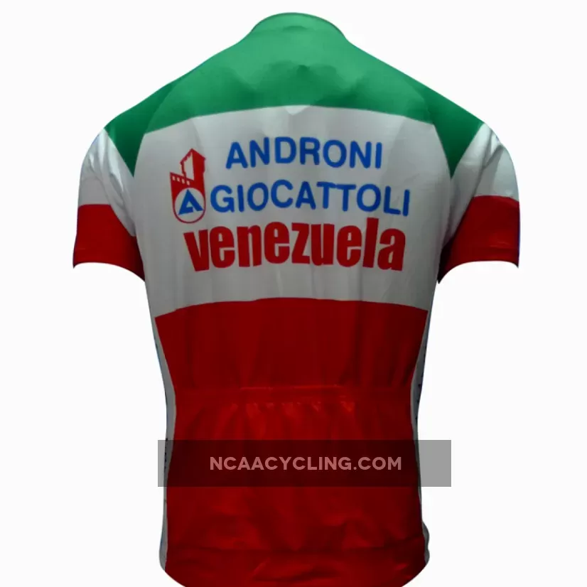 2013 ANDRONI GIOCATTOLI professional cycling team - cycling jersey short sleeve