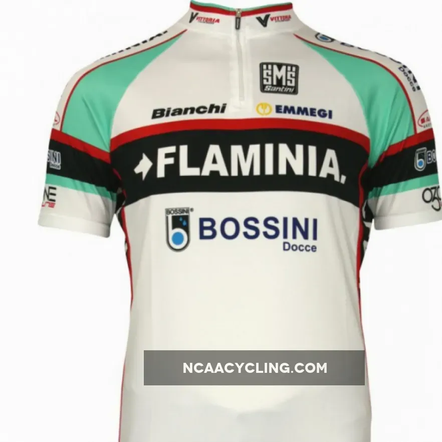 Flaminia 2010 Radsport-Profi-Team - Short Sleeve Jersey