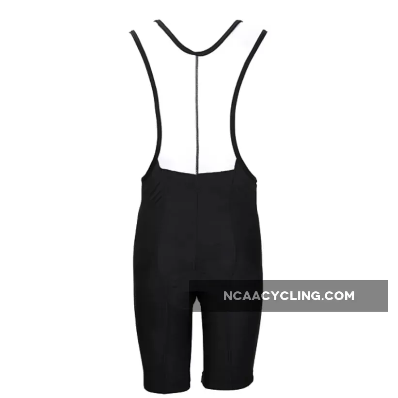 WJ Formaggio 8 Panel Men's Padded Cycling BIB Shorts