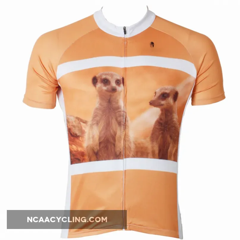 ILPALADINO Men's Road Biking Cycling Jersey Outdoor Biking Cycling Shirt Short Sleeve Sports Wear Summer Exercise Bicycling Pro Cycle Clothing Racing Apparel Outdoor Sports Leisure Biking Shirts NO.563