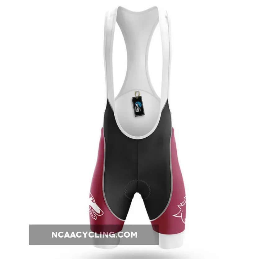 Salukis Fan Cycling Bibs